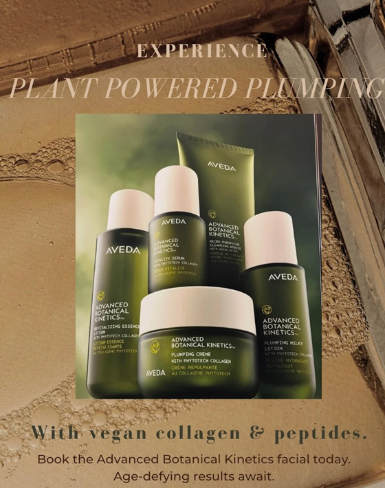 Aveda Botanical Kinetics